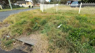 Rubbish filled LAWN DISASTER RESCUED! $0 Charged to this client!