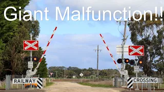 GIANT MALFUNCTION!!! | Ayreys Reserve Rd, Birregurra, Vic | V/Line Railway Crossing