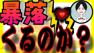 【米国株🇺🇸】8/21 暴落になってしまうのか？何処で買えばいい？【ナスダック100】【レバナス】【SOXL】引用元:S&P 500最強伝説