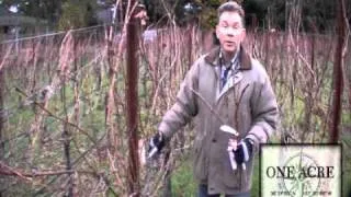 One Acre Napa Valley - Yountville AVA Episode 5a Grafting