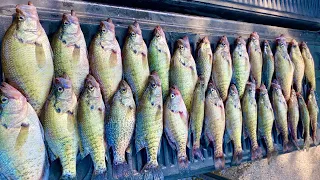 We SLAMMED the GIANT SLABS Hiding in the MIDDLE of the LAKE! - Jig and Minnow Fishing (CATCH & COOK)