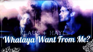 klaus & hayley | whataya want from me?