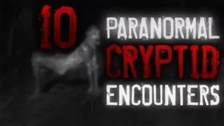 10 True Paranormal Cryptid Encounter Stories From Reddit