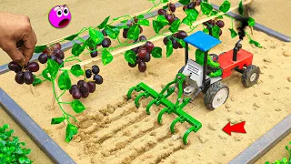 Diy mini tractor making modern agriculture plough machine for grape farming @sanocreator