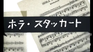 ホラ・スタッカート G.Dinicu Hora Staccato バイオリン石井啓太