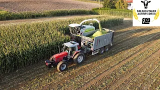 Erster MAIS 2021 fällt!! | LU Altenbuchner im Einsatz | CLAAS Jaguar 960 | 2x Fliegl ASW | Maisernte