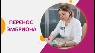 Что важно знать перед переносом эмбриона?