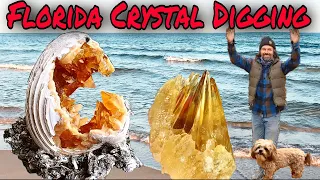 Amazing Golden Crystals Found Using Pressure Water