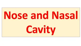 Nose & Nasal cavity