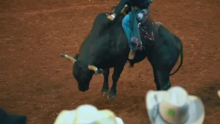 Confira os melhores momentos do rodeio do dia 23 de agosto.