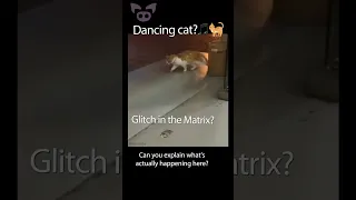 Dancing Cat Glitch? 🎵🐈 #Shorts