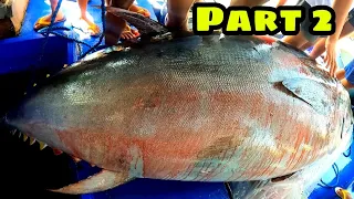 Part 2 - Ga Kalabaw na Tuna | 400kg Blue Fin Tuna caught in Pacific Ocean
