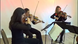 A Thousand Years performed by Saffron Strings