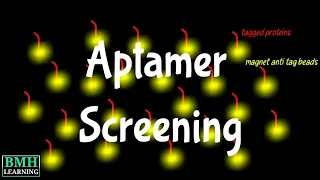 Aptamer Screening | Selection & Enrichment Of Aptamers |