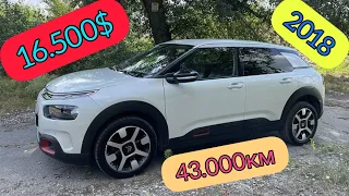 Citroen C4 Cactus - что за "растение" в мире автомобилей