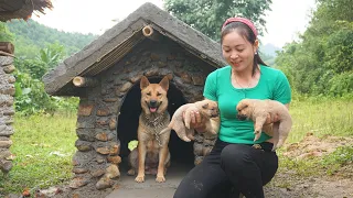 130 Days How To Building Farm With Stone, BUILD DOG HOUSE, Build Water Tank [FULL BUILD]