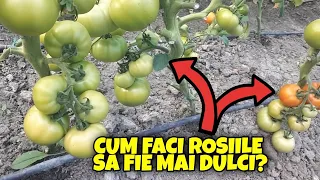 Cum sa ai rosiile dulci folosind bicarbonatul de sodiu.