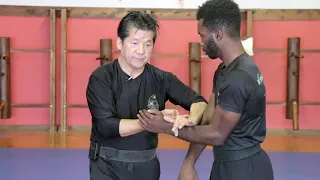 Francis Fong Instructor Association | Wing Chun Trapping Sample Video