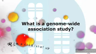 What Is Genome-wide Association Study