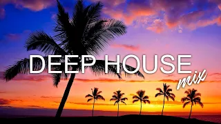 Avicii, Calvin Harris, Kygo, Alok, Robin Schulz, David Guetta, Gryffin   Summer Vibes Mix #438