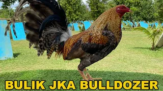 BULIK !! Jka Bulldozer Farm - Big Farm in The Philippines