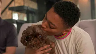 Veteran and Senior Emotional Support Dog Reunite With Cuddles and Kisses |The Dodo