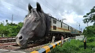 Fast & Furious MAD Horse Headed Howrah Rajdhani Express Dangerous Moving Throughout Railgate