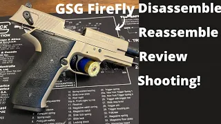 Cheap.22 Pistol ($130) GSG Firefly Review W/ Shooting!