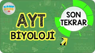 AYT Biyoloji Full Tekrar | Son Tekrar Kampı 2020