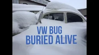 69 Volkswagen Beetle Buried In Snow Storm.  Can We Drive It Out?