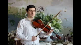 Скрипач Иван Овсепян, выступление ко дню работника торговли, живой звук ! ! !