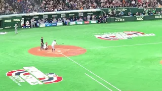 Ichiro Suzuki Baseball Game in Tokyo Dome Japan