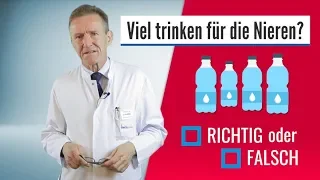 Richtig oder falsch? – #Nieren