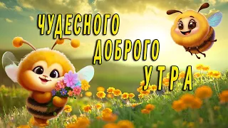 С Добрым утром и Хорошим Днем! Позитивная песня! Наполни свой день позитивом и радостью!