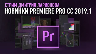 Обзор новинок Adobe Premiere Pro 2019.1. Дмитрий Ларионов