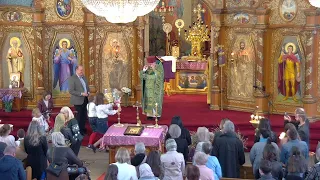 Sun  April 28/24: 9:30am |Divine Liturgy -Palm Sunday - Неділя Вербна