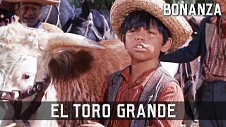 Bonanza - El Toro Grande | Episode 16 | TV Western Series | Cowboy Movie