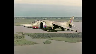 Belize Harriers