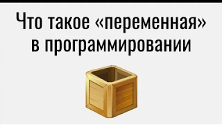 Что такое переменная в программировании.