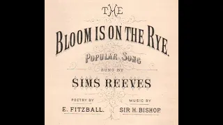 "The Bloom Is On The Rye” Edison cylinder ("my pretty Jane" song in James Joyce novel Ulysses)