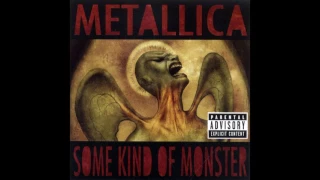 Metallica - Some Kind Of Monster (Live Album)