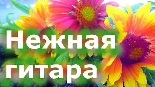 Нежная гитара успокоит вашу нервную систему. Музыка для здоровья и благодати.