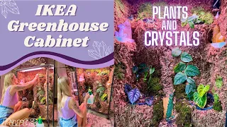 IKEA Greenhouse Cabinet | Build a Living Moss Wall | Part 2 | Adding Live Moss, Plants, & Crystals