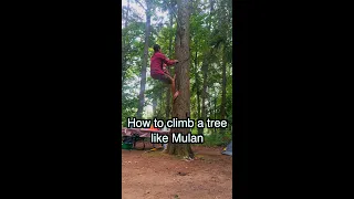 How to climb a tree like Mulan #shorts
