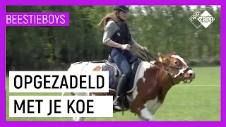 KOE RIJDEN | Extreme Animal Hobby's Beestieboys | NPO Zapp