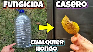 🔥 Usa CENIZA y ELIMINA CUALQUIER HONGO DE tus PLANTAS! Fungicida casero orgánico | Oídio y Mildiu