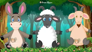Discover herbivores and many other animals: Donkey, Sheep, Goat, Parrot, Lemur, Duck