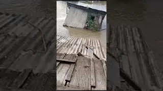 Приморский край, Спасск дальний. вода прибывает. Правительство не видно на лодках.Люди остались одни