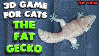 3D game for cats | THE FAT GECKO (top view) | 4K, 60 fps, stereo sound