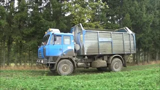 Siláže 2021- John Deere 8300 Tatra 815 - Š-706 Trambus - Zetor Forterra a Claas Axion